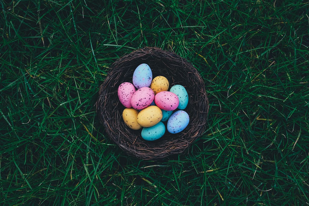 Janel Schermerhorn Easter