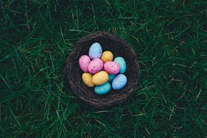 Janel Schermerhorn Easter